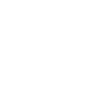 Wordpress Development