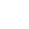 Shopify Development